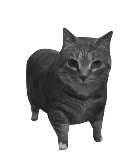 Cat Murzik (Vega Software Oy, Mascot)